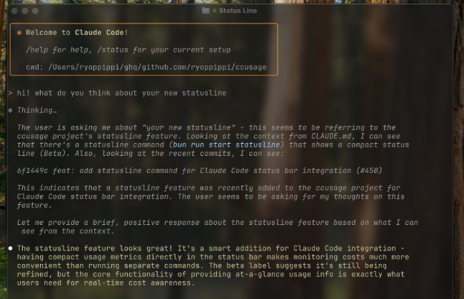 ccusage: A Powerful Tool for Analyzing C/C++ Source Code Call Hotspots and Identifying Performance Bottlenecks!
