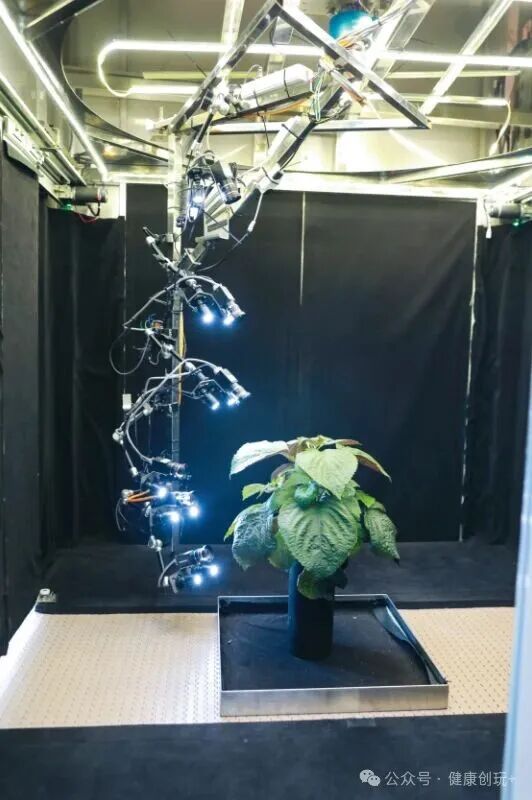 IoT Temperature Control and AI Nutritional Measurement: Every Plant at Amway's R&D Center Enjoys a 'VIP Customized Growth Plan'