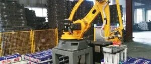 Typical Handling Example of Estun Robot