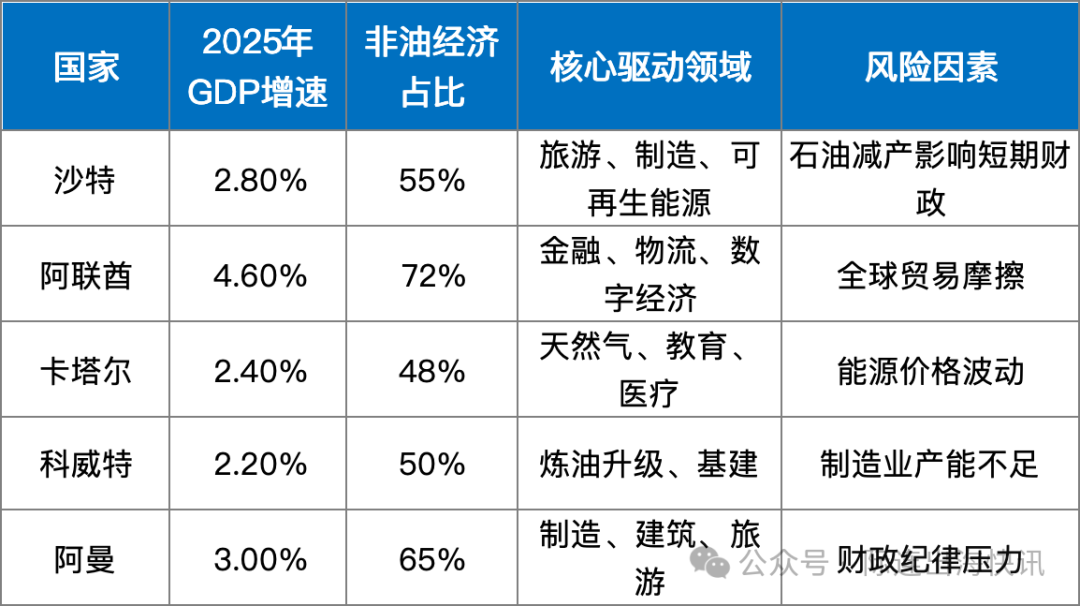 Opportunities in the Middle East 2025: A Guide for Chinese Enterprises in the GCC