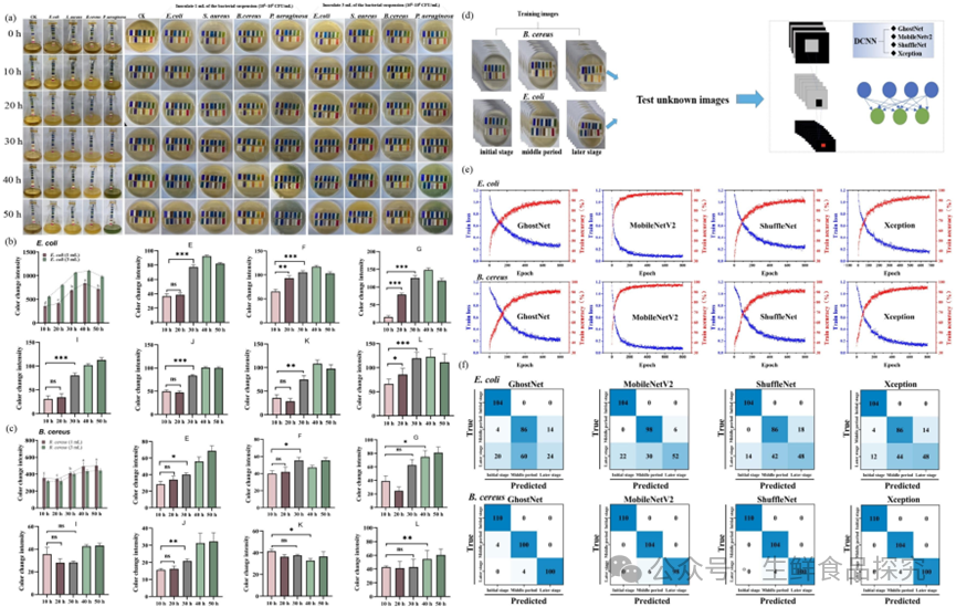 Real-time Freshness Monitoring of Fruits and Vegetables Using 3D-Printed Alginate-Based Colorimetric Sensors and Deep Convolutional Neural Networks