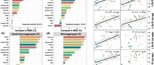 Linking Soil Ecological Stoichiometry of Nutrients and Microbial Enzyme Activity to Bulk and Aggregate-Associated Organic Carbon in Karst Rocky Desertification