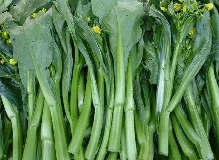 Top 10 Vegetables Rich in Vitamin C: Broccoli Ranks 10th, While the Most Loved is Number 1 - Don't Just Rely on Lemons for Vitamin C