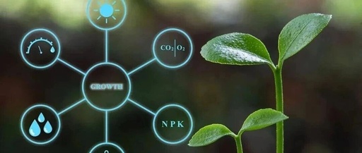 6 Key Smart Sensors Commonly Used in Precision Agriculture