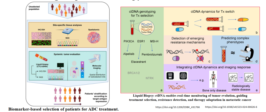 Biomarkers for ADCs: IHC and Beyond
