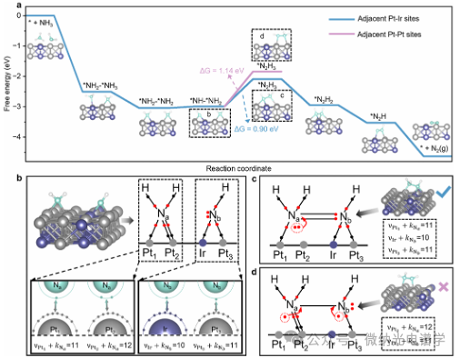 Observation of *N2H3 Intermediates by In Situ Electrochemical SERS: New Pathway of Ammonia Oxidation on High-Durability PtIr Catalysts