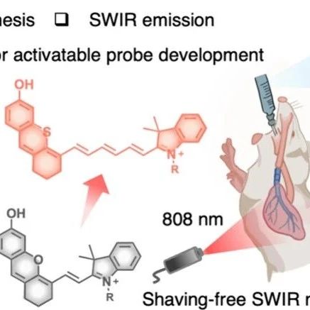 Short-Wave Infrared Semi-Cyano-6 for Cancer Activation and Non-Hairless Preclinical Imaging of Lung Metastasis