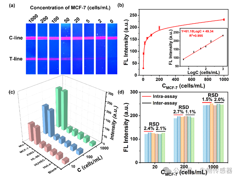 Wireless Cell Sensor Based on Bionic Dandelion Isothermal Amplification System for Ultra-Sensitive Detection of Circulating Tumor Cells