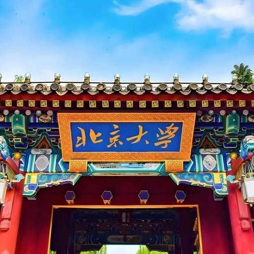 Peking University Bulletin 11: Insights and Future Prospects of AI+Agent and Agentic+AI Principles and Applications