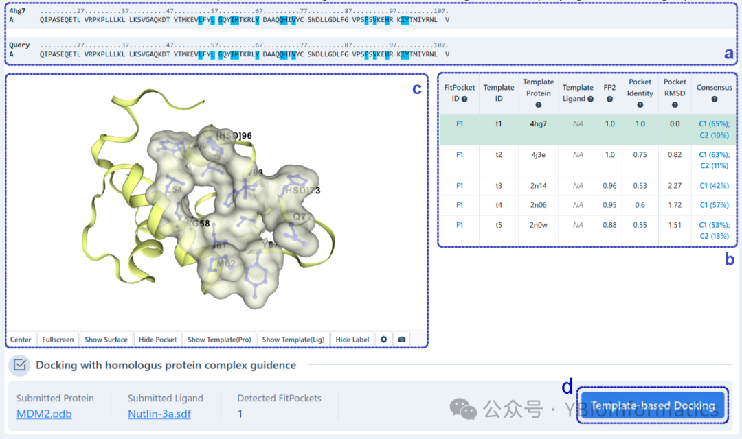 CB-Dock2: An Improved Protein-Ligand Blind Docking Workflow Combining Homology Templates and FitDock Optimization