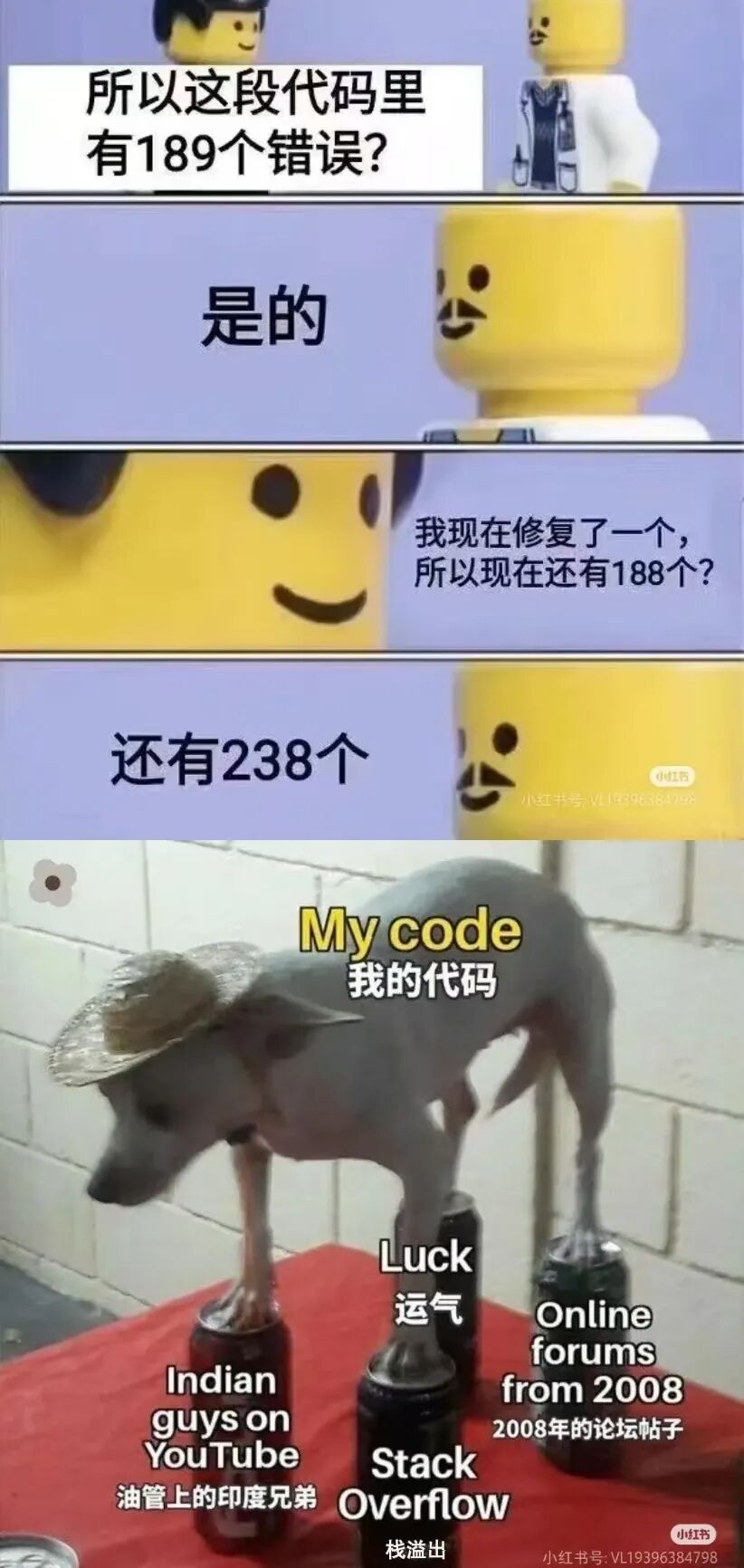 Medical Engineering Collaboration | Shenzhen University Training Camp Diary: C Language Challenge