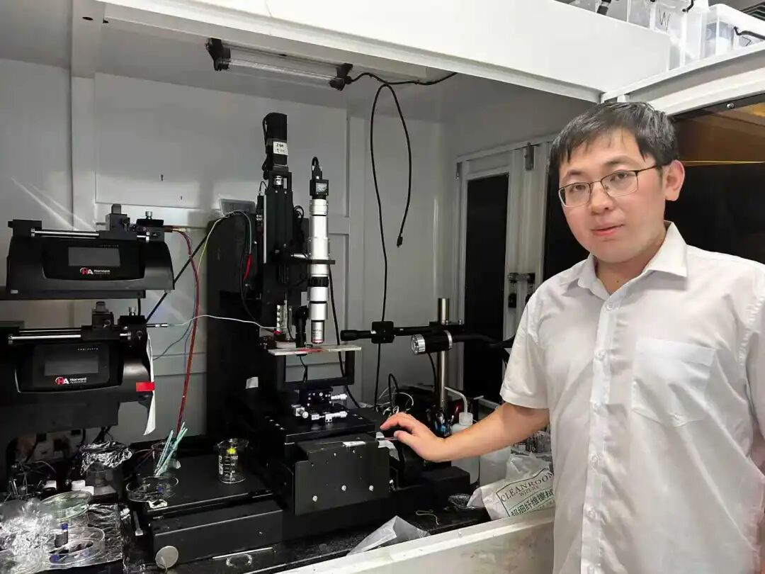 Scientists Overcome Challenges in Flexible Electronic Energy Harvesting