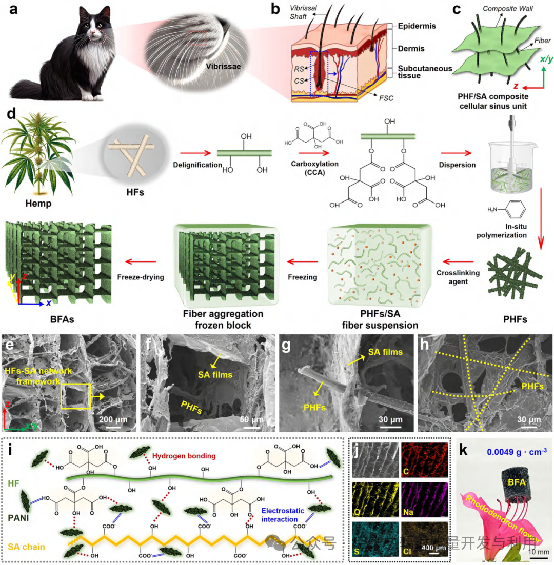 Biomimetic Cat Whisker Flexible Sensors Based on Biomass Fiber Aerogels
