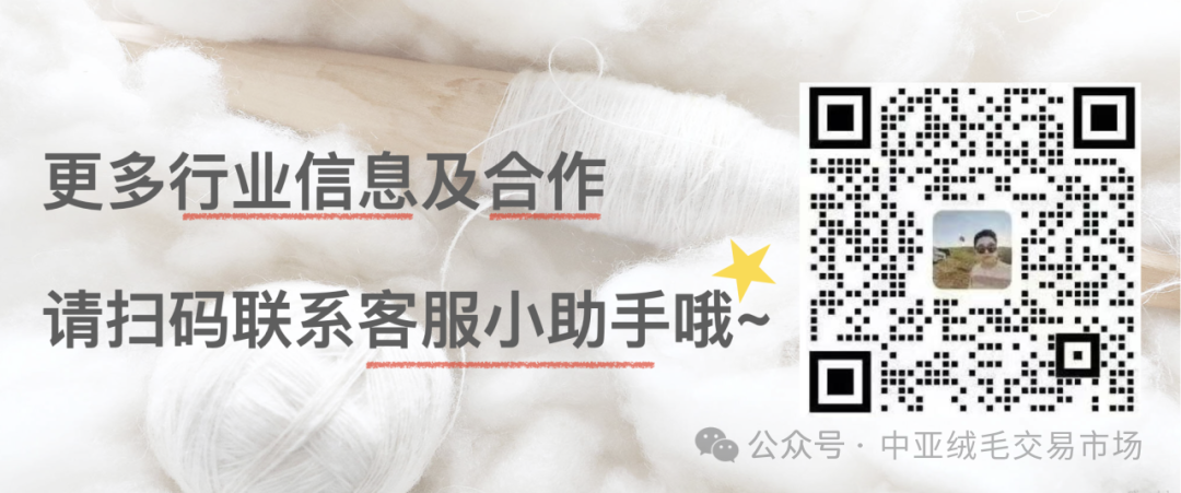 Reflections on Chinese Cashmere: How Far Are We from the 'Loro Piana Myth'?