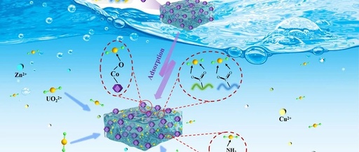 ZIF-67 Embedded Polyacrylamide/Sodium Alginate/Polyacrylic Acid Hydrogel for Efficient and Selective Uranium Extraction
