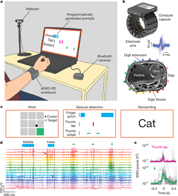 New Technologies | Medical Robotics Industry News (Fourth Issue of 2025)