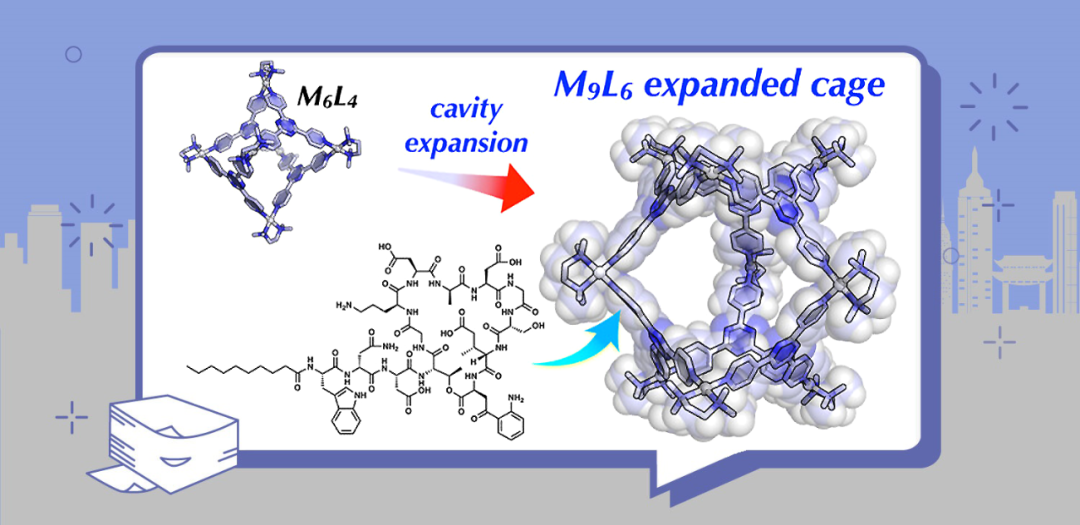 Template and Solid-State-Assisted Assembly of an M9L6 Expanded Coordination Cage for Medium-Sized Molecule Encapsulation