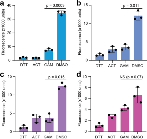 Chemotype- and Target-Driven Genome Mining for a New Natural Product Inhibitor of Bacterial Peptide Deformylase