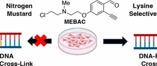 A Novel DNA-Protein Cross-Linking Chemical Probe Reveals the Source of Cytotoxicity from DPC