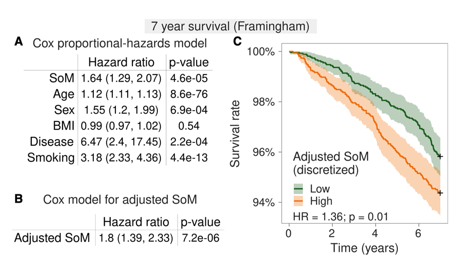 Immunity: Precise Prediction of Infection Severity and All-Cause Mortality Based on SoM Gene Features