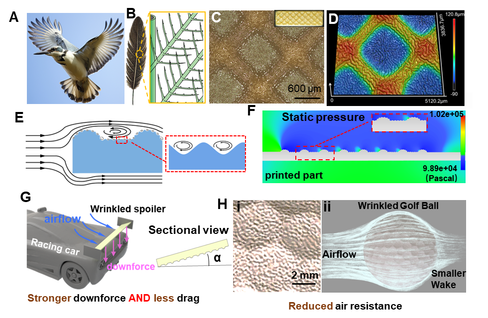 3D Printing and Self-Organization for Multi-Scale Energy-Efficient Wrinkled Surfaces