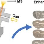 Literature Sharing | J. Am. Soc. Mass Spectrom | Pneumatically Assisted Microfluidic Probe for Enhanced Mass Spectrometry Imaging Performance