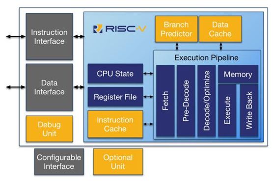 The Rise and Evolution of RISC-V: An Open Source Architecture