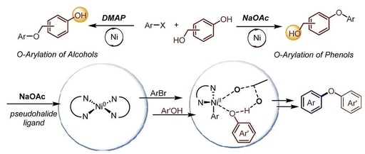 Electrochemical Selective C-O Coupling via Base Replacement