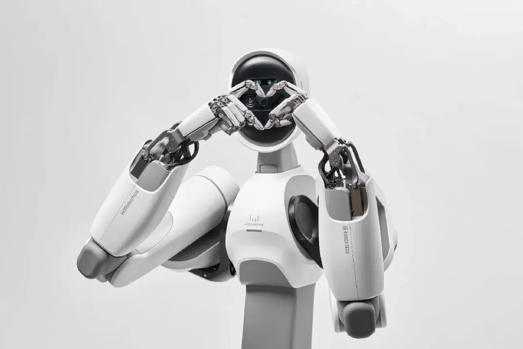 Design Sharing of a Humanoid Robot | ALLEX