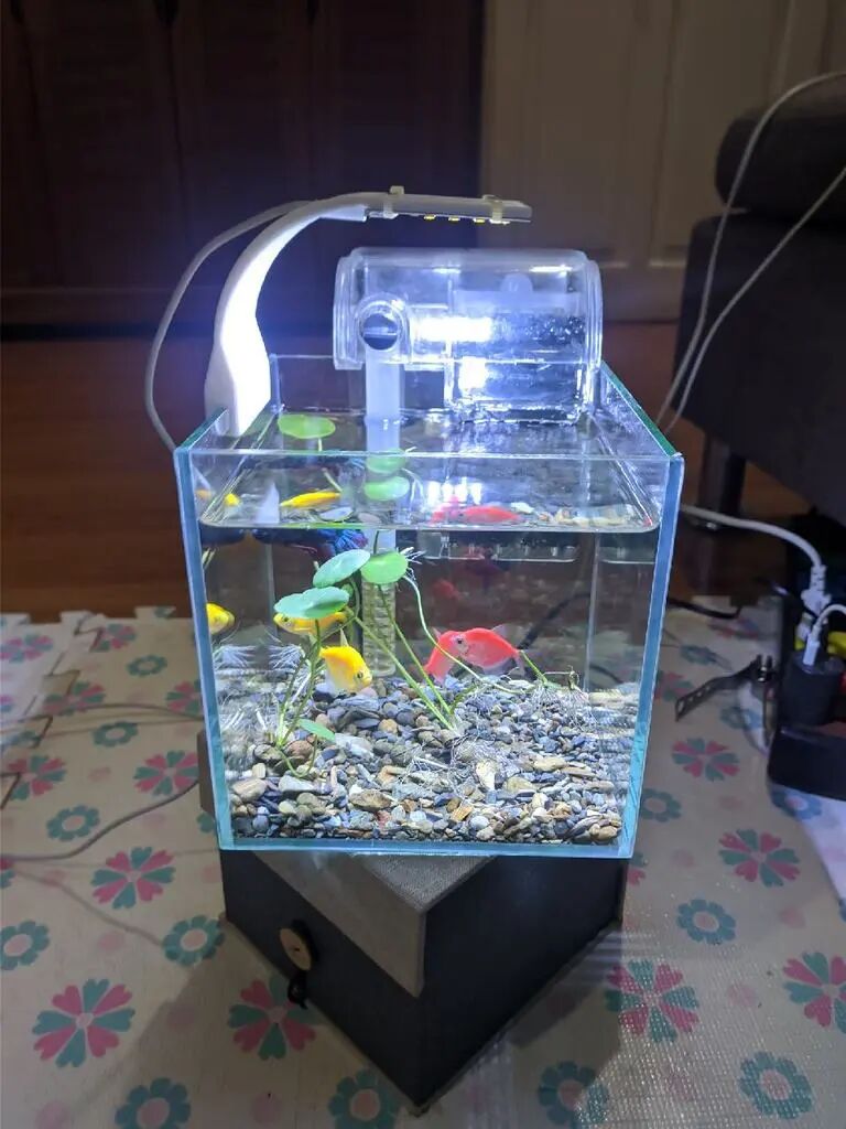 Aquarium Lighting II: Say Goodbye to Expensive Aquarium Lights, 3D Printing Opens a New Era of Cost-Effective Aquarium Illumination