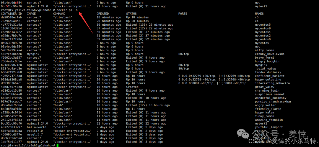 Mastering Docker End-to-End: Container Management, Nginx Homepage Customization, BusyBox Tool Practice, and Tencent Cloud Repository Deployment