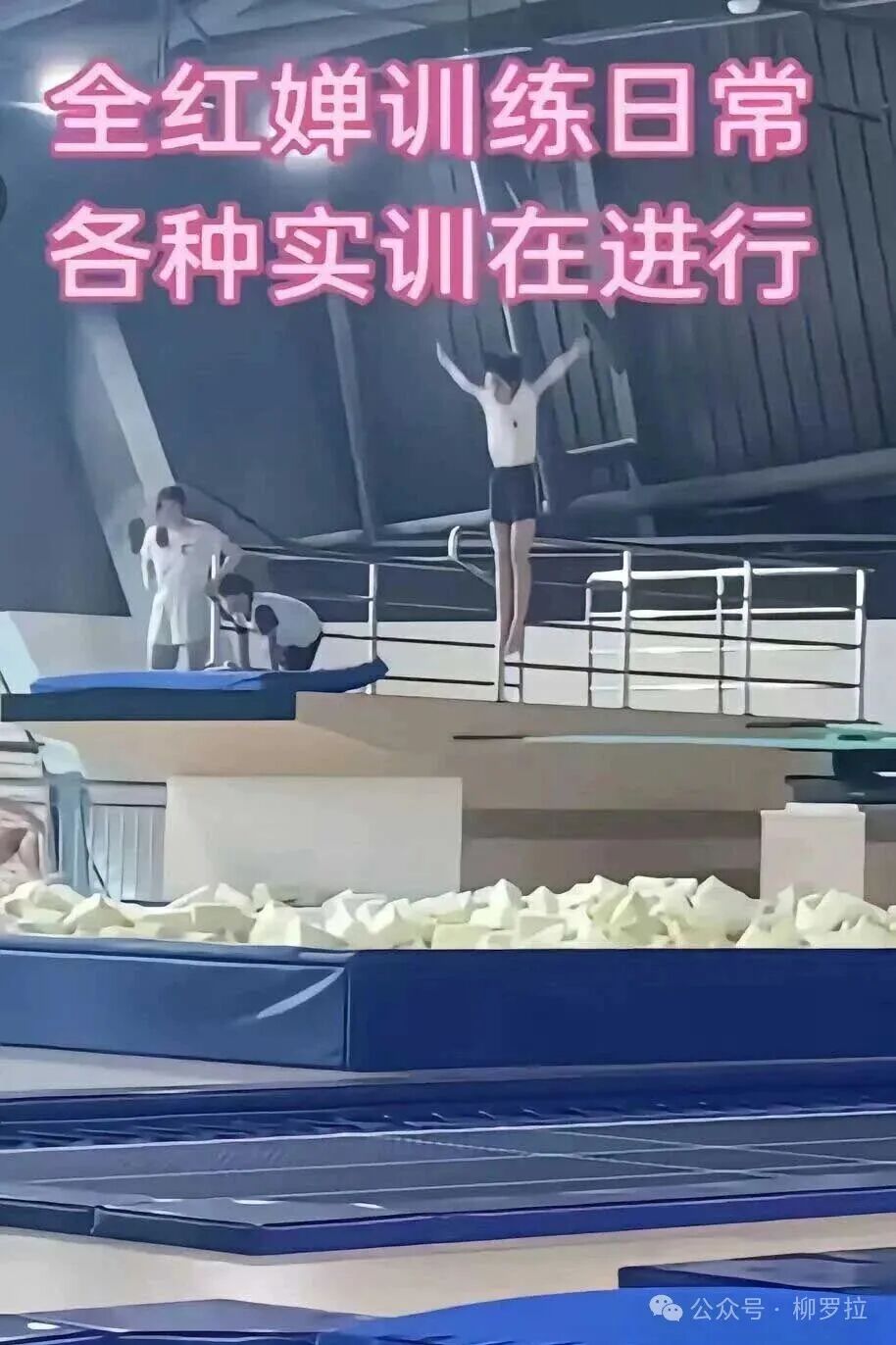 The 207C Dive Score Has Returned to 8.5! Behind Quan Hongchan's 10 Appearances on CCTV: 6-Hour Training Session Exposed, Unusually Intense