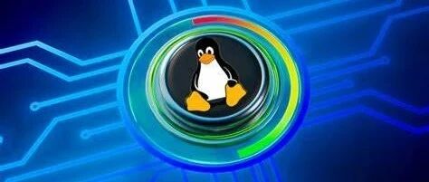 Comprehensive Analysis of Linux System Permissions