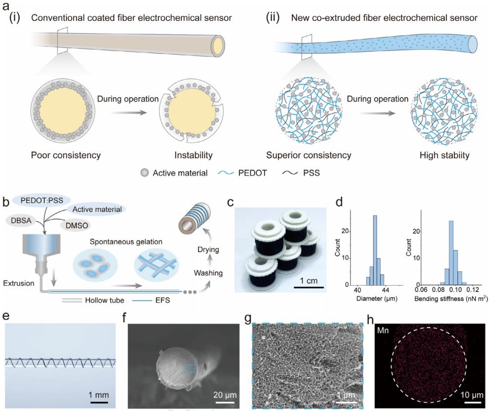 Fudan University Develops Co-Extrusion Technology to Overcome Stability Bottlenecks in Flexible Fiber Sensors