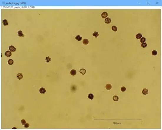 Scientific Image Processing on Linux
