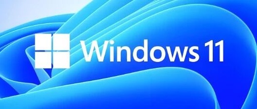 An Analysis of the Differences Between Windows and Linux