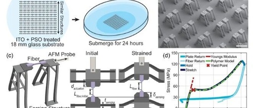 Standardized Testing of Micromechanical Properties in Two-Photon Polymerization 3D Printing Technology