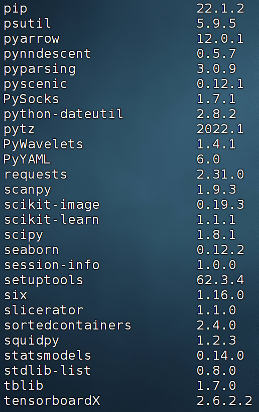 The R+Python Combination May Be the Best Way to Analyze SCENIC