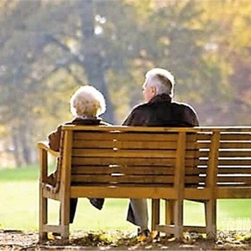 Shizuishan City: Enhancing Elderly Care Services with Embedded Services as the Core