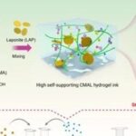 High Self-Supporting Chitosan-Based Hydrogel Ink for In Situ 3D Printed Diabetic Wound Dressing