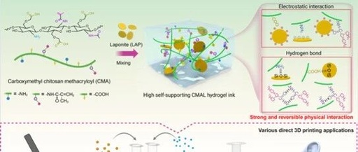 High Self-Supporting Chitosan-Based Hydrogel Ink for In Situ 3D Printed Diabetic Wound Dressing