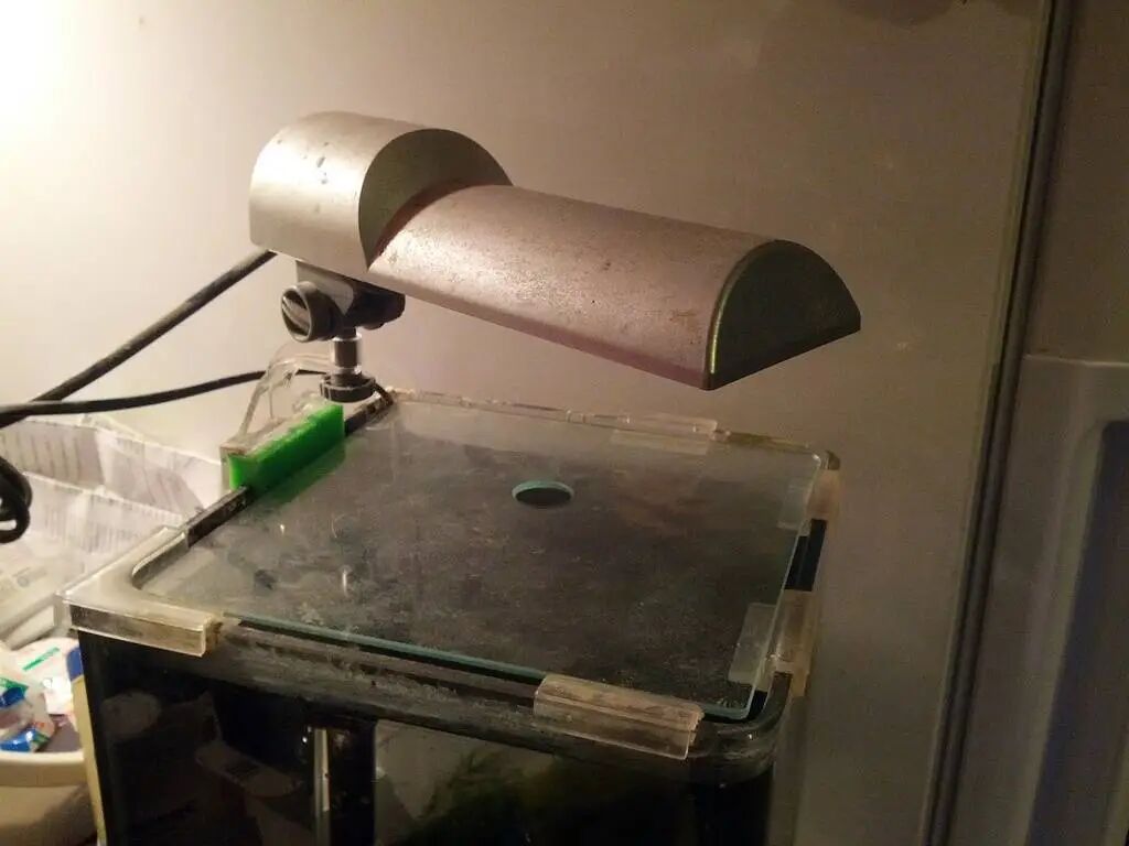 Aquarium Lighting II: Say Goodbye to Expensive Aquarium Lights, 3D Printing Opens a New Era of Cost-Effective Aquarium Illumination