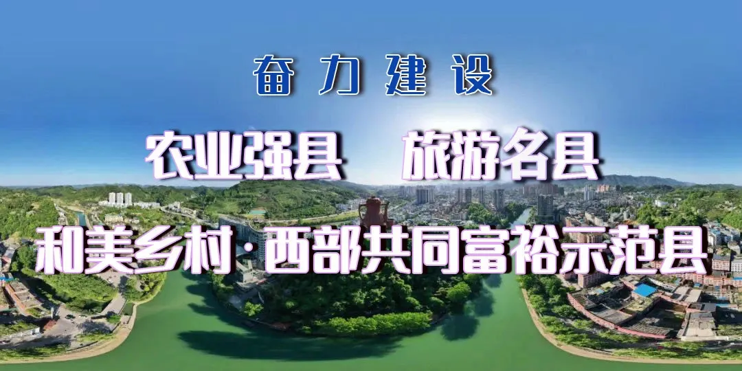 Interesting Summer Classes in Mashan, Meitan: Water Safety, AI Robots, and Crafts!