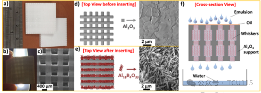 In Situ Grown Whisker Coated Ceramic Structures via 3D Printing for Efficient Oil-Water Separation