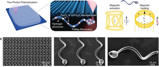 Research Update: 3D-Printed Hydrogel Microrobots with Integrated Magnetic Actuation, Magnetic Particle Imaging, and Magnetic Hyperthermia Functions