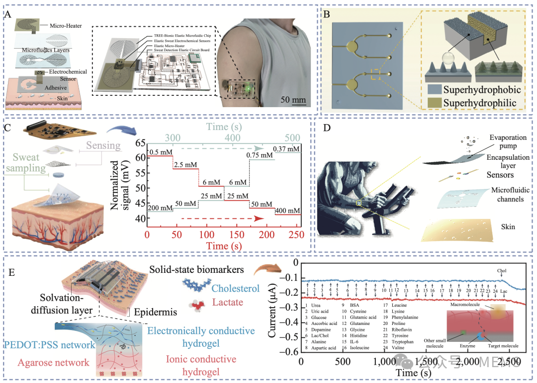 Overview: Research Progress on Wearable Multi-Channel Sweat Sensors Based on Microfluidic Chips