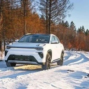 Chery Ant Launches with All-Aluminum Body and Domestic ADAS Chip Starting at 149,800 Yuan: Can It Compete?