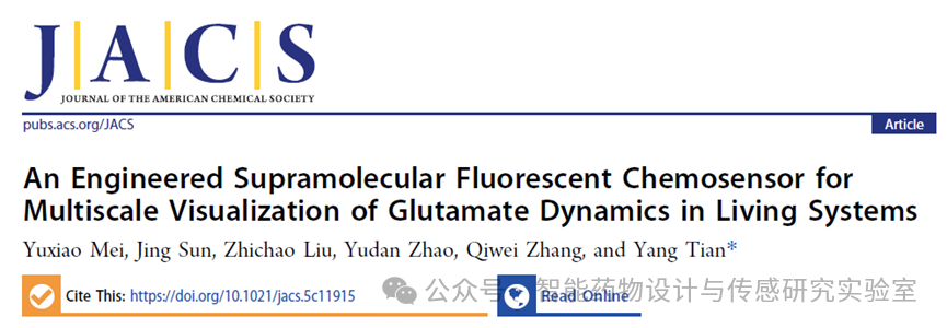 An Engineered Supramolecular Fluorescent Chemosensor for Multiscale Visualization of Glutamate Dynamics in Living Systems