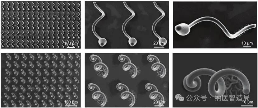 3D Printed Microrobots: Navigating, Temperature Sensing, and Treating Diseases Inside the Body, Advancing Precision Medicine
