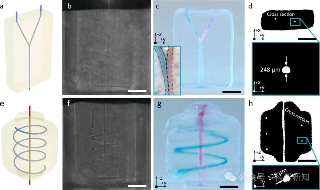 Research Update: New Strategies for Multi-Material 3D Printing - Embedded Extrusion and Volumetric 3D Printing